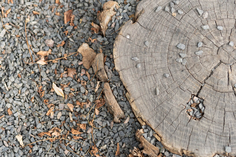 Stump Grinding vs. Stump Removal: Which Option is Best for Your Garden?