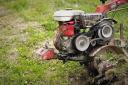 Stump Grinding Can Improve Your Lawn Health