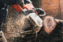 Stump Grinder