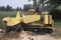 stump grinding